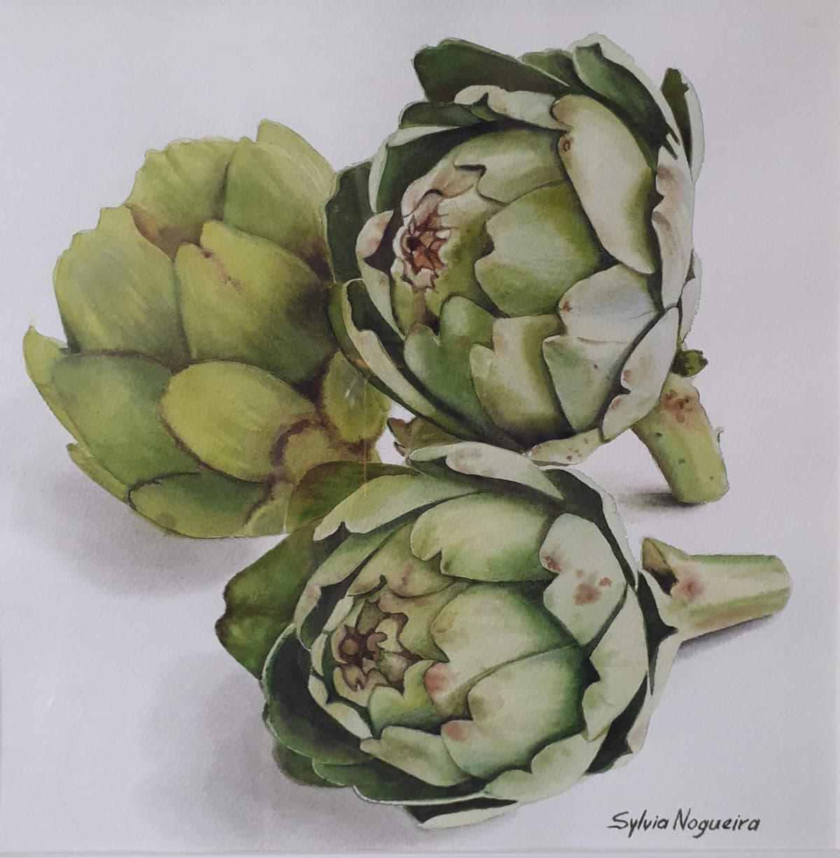 Artichokes
