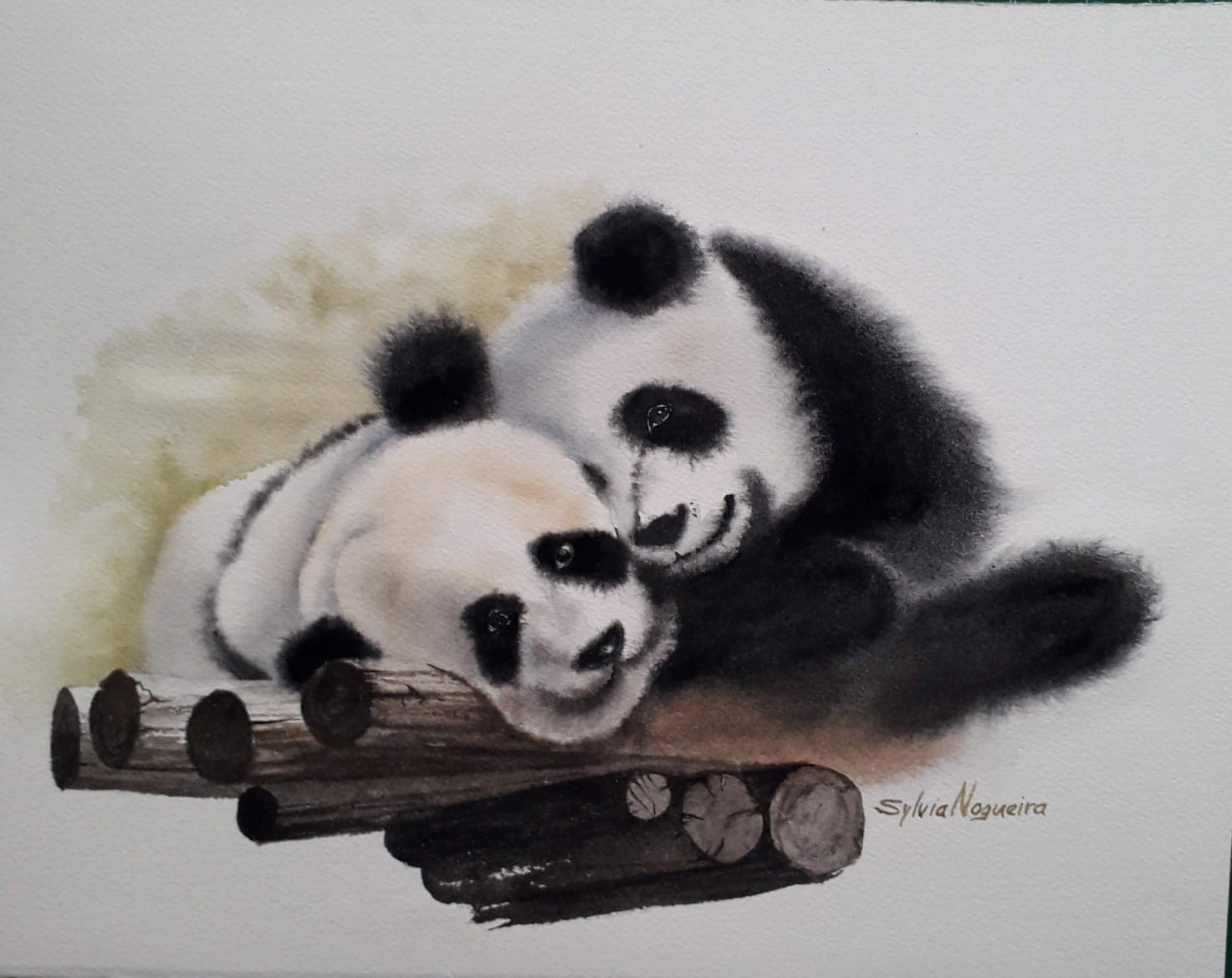 Sylivia Nogueira - Pandas